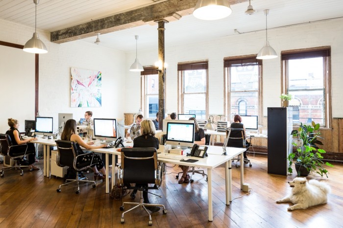 Liquorice studio space