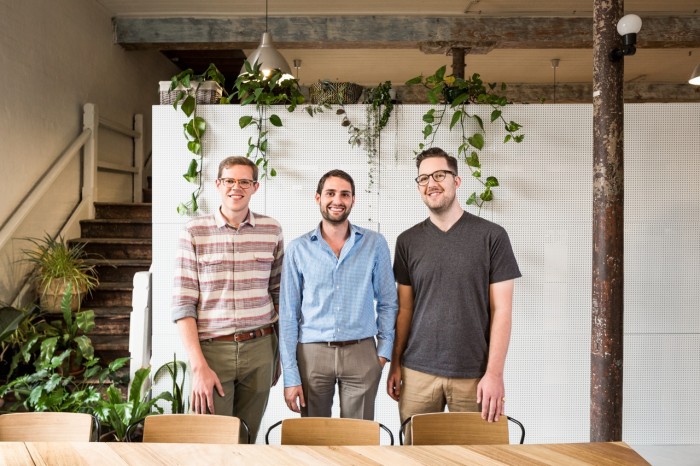 Liquorice digital team